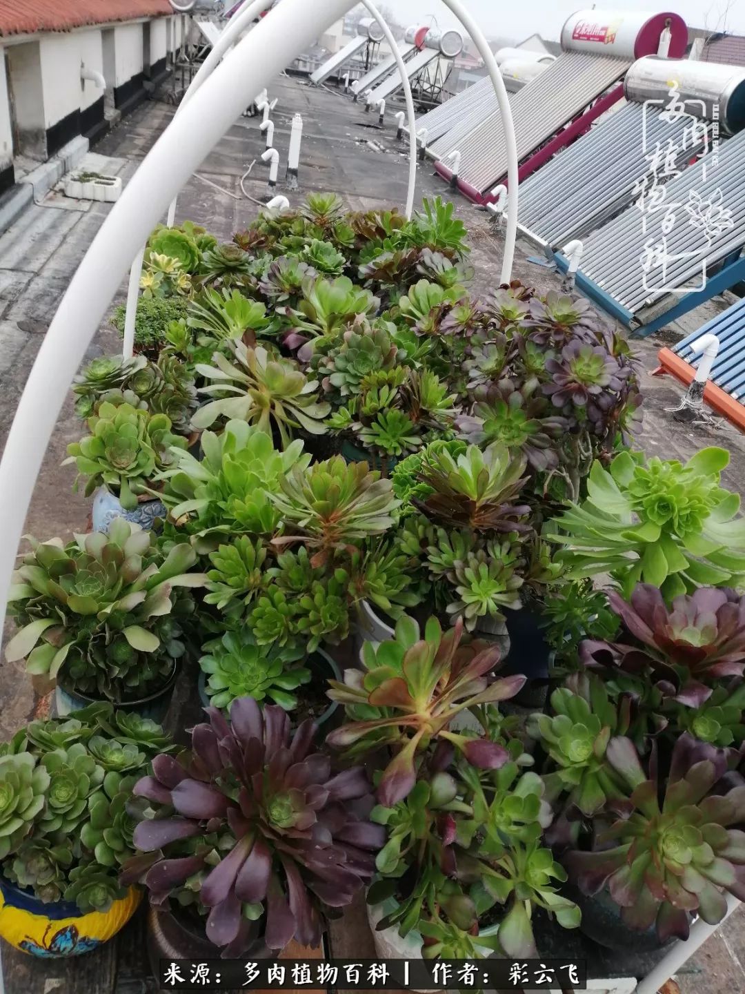 爱春天,爱阳光,爱法师!让我们一起跳法师坑吧!