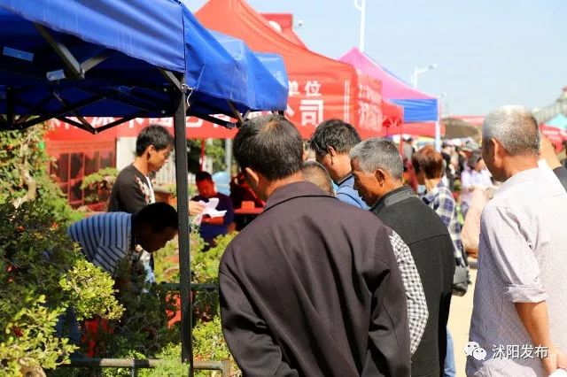 江苏沭阳春日旅游攻略图,沭阳旅游攻略自由行