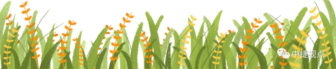 改革发展成就,改革以来的辉煌成就