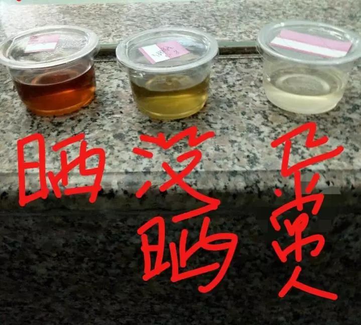 24岁护士怀孕后续,23岁护士怀孕