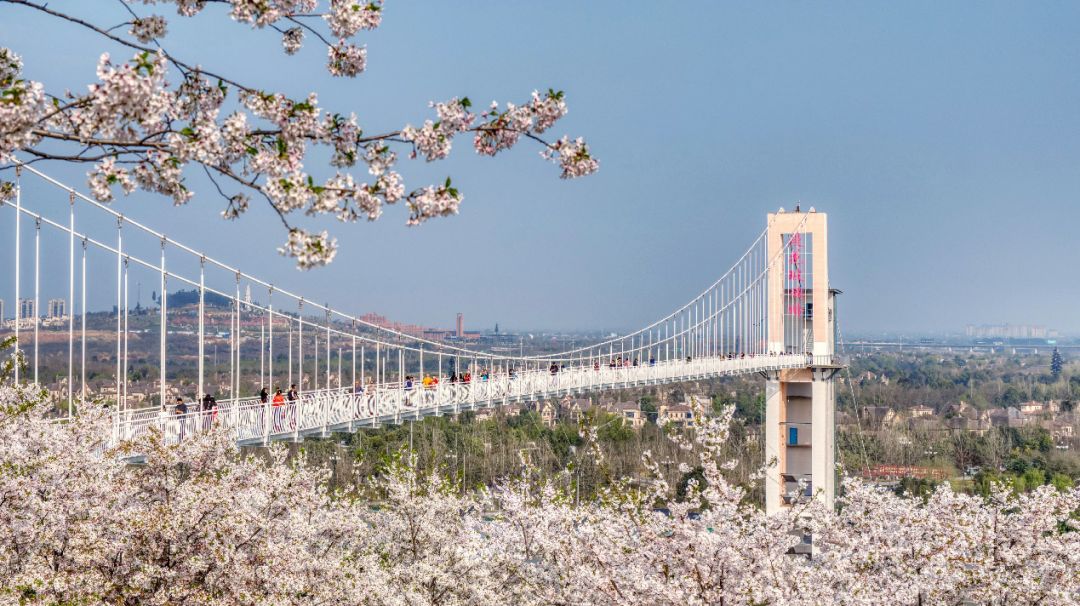 公园新玩法,公园项目的正确玩法