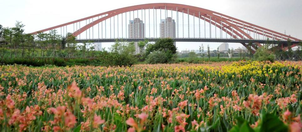 佛山亲子游好去处免门票花海,佛山儿童公园游玩攻略