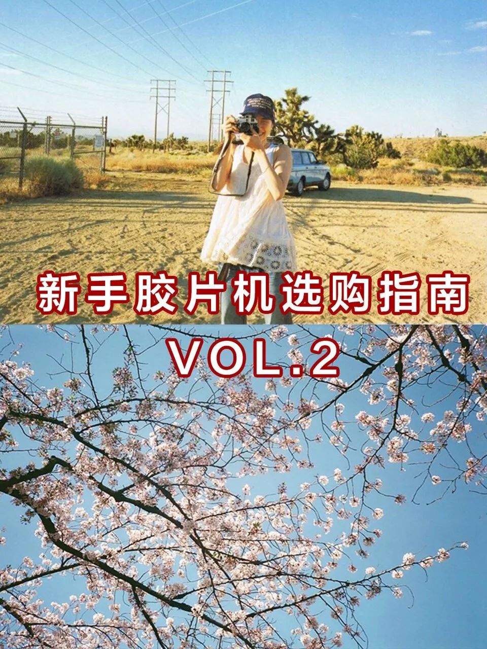 入坑胶片你真的需要一台胶片机吗,为什么不推荐新手买胶片机