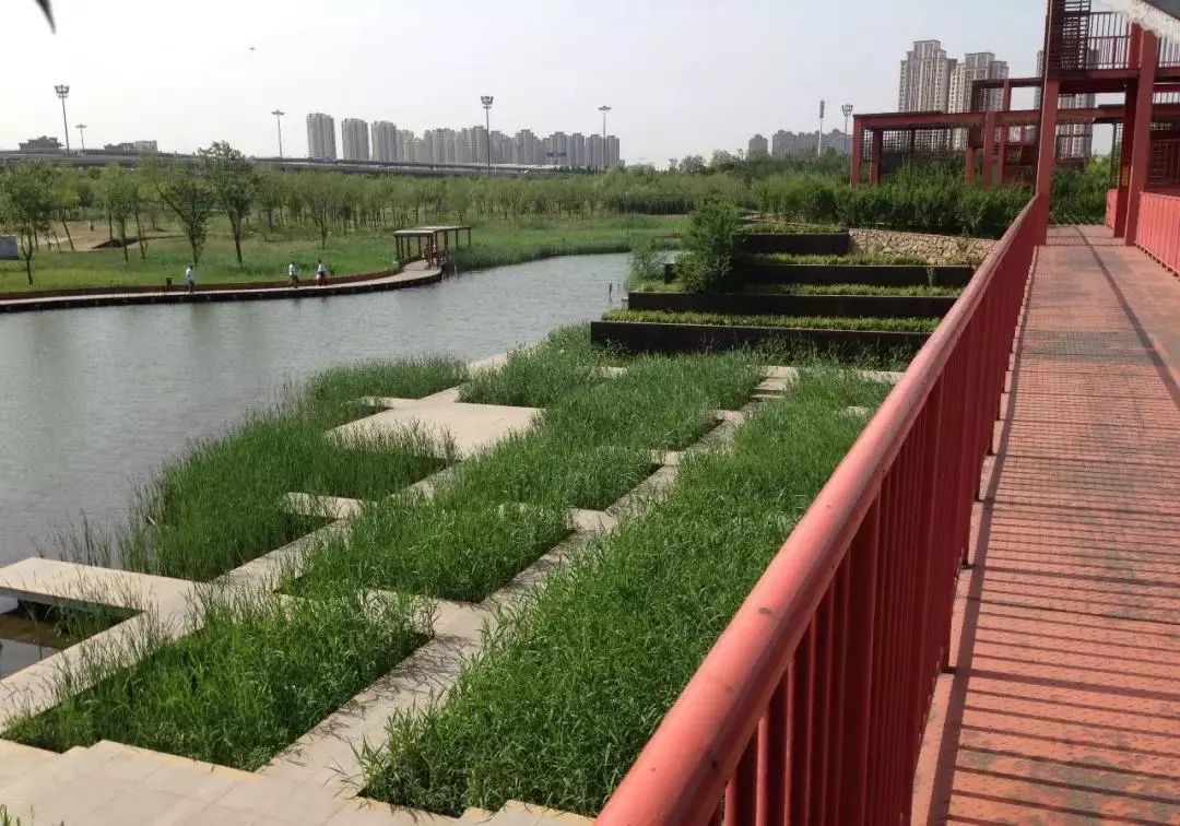 天津免费18个公园,城事天津