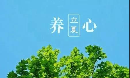 立夏丨春意藏夏初长风暖人间草木香