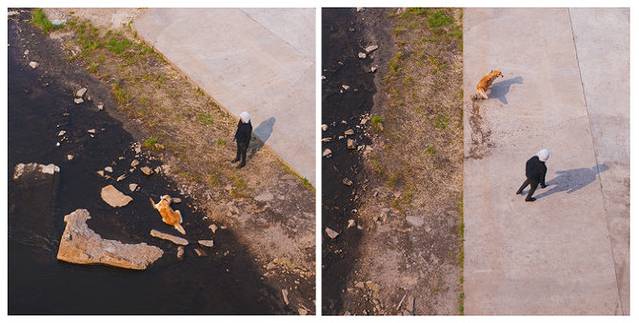 十月呼伦贝尔草原旅游攻略,自由行呼伦贝尔草原攻略