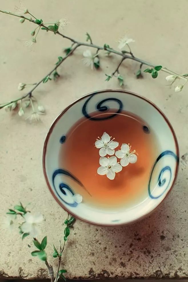 中国最美古文排行榜,中国古文可能所有语言中最美了