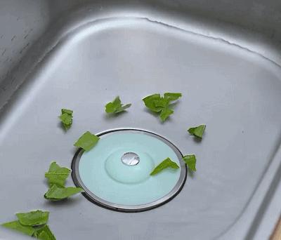 家里有小飞虫和蟑螂,家里装了纱窗还是有小蚊子能进来