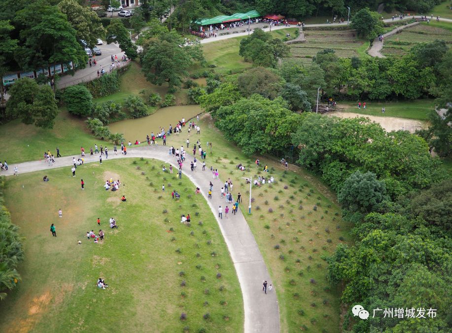 增城最火爆网红景点,增城客流量