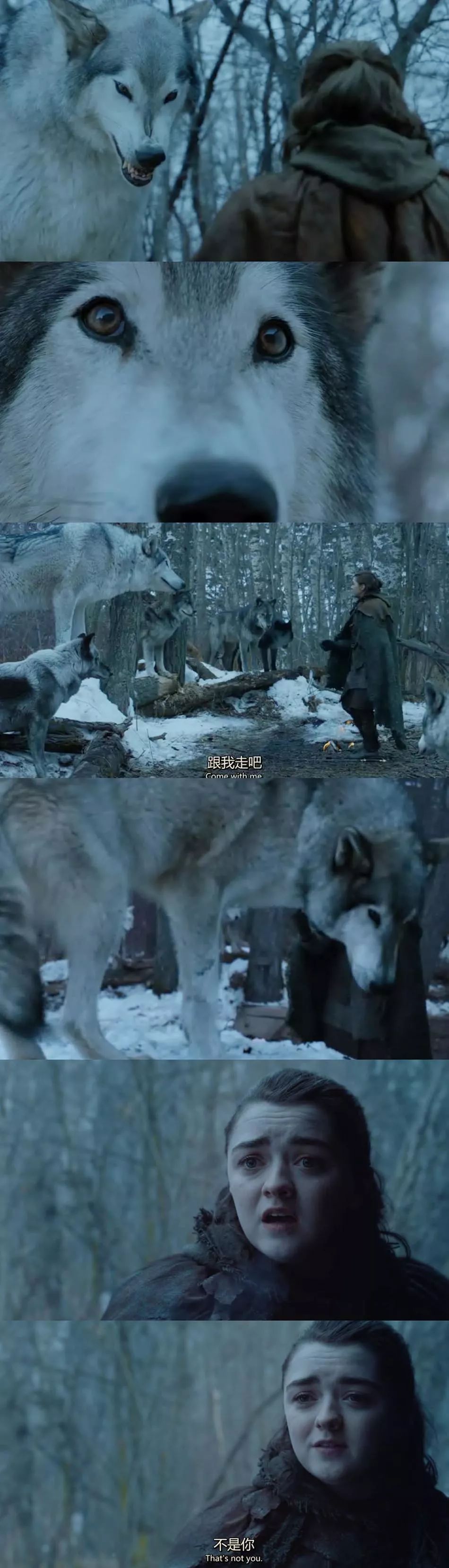 权游S8E4|那些智商掉线的主角啊……