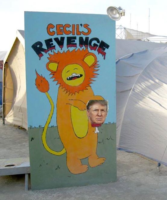 一年仅存在8天的城市,一年仅存八天的城市