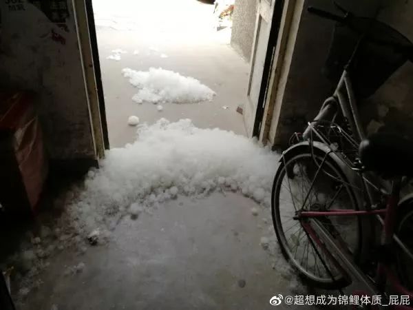 最近过半中国人都在噗噗噗呸呸，一开门，心里飘过一万头羊驼…