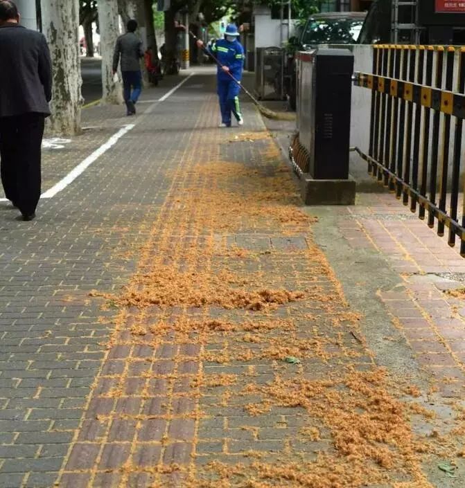 最近过半中国人都在噗噗噗呸呸，一开门，心里飘过一万头羊驼…