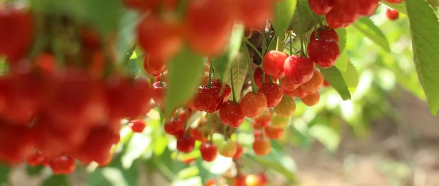 郑州跻身全国前5,金榜题名全国各省排名