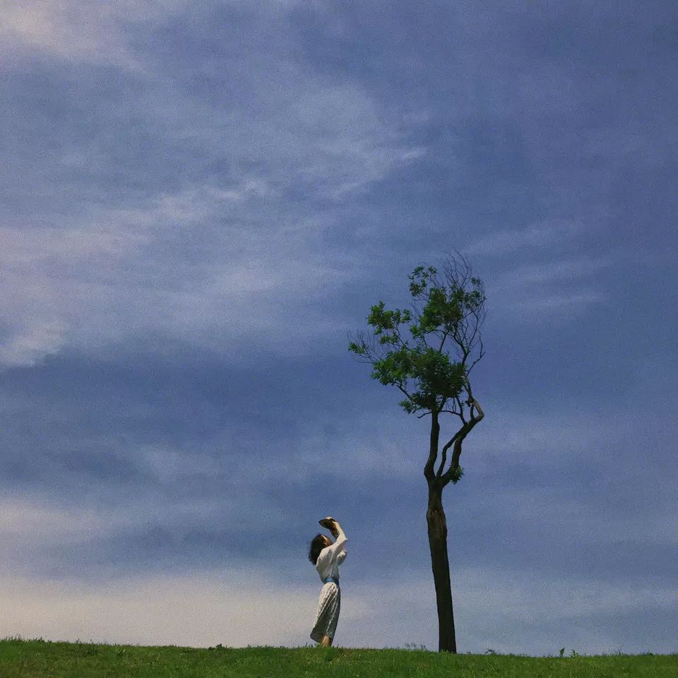 我辰这棵“孤独”的树火了！