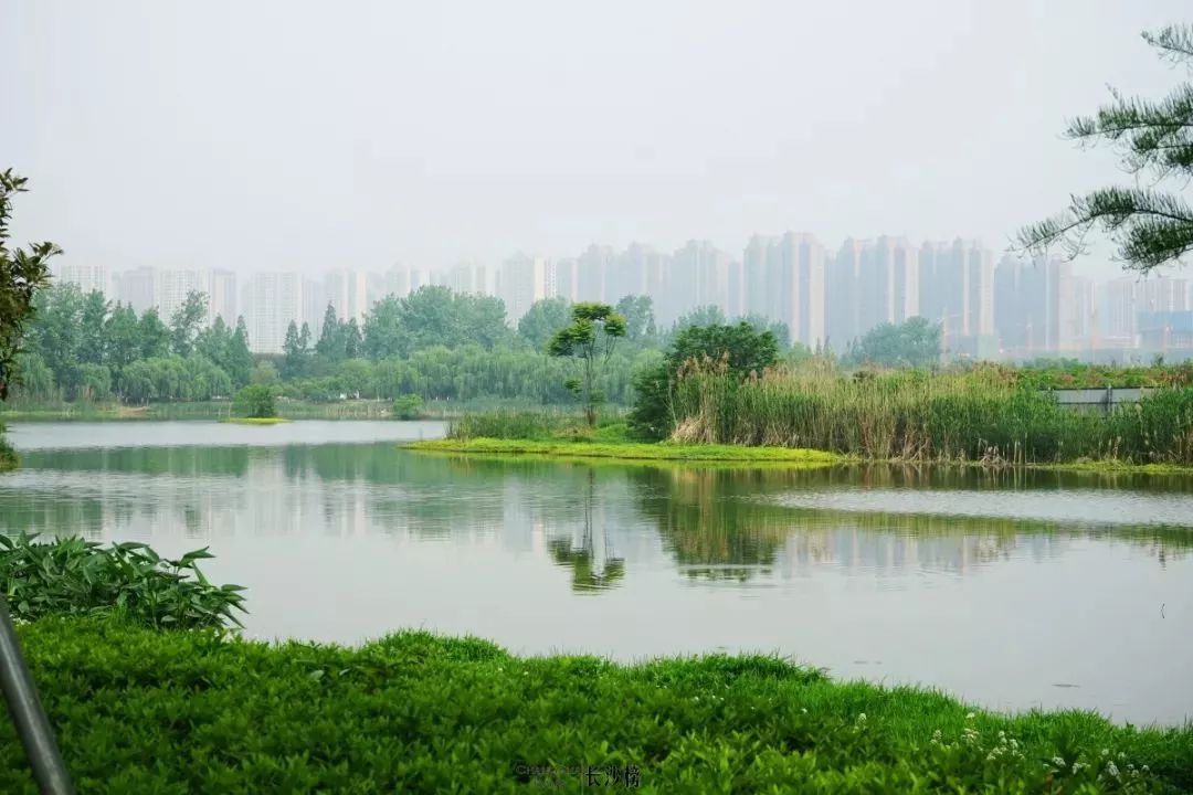 长沙这些公园颜值超高你去过几个,长沙最值得去的公园排名一览表