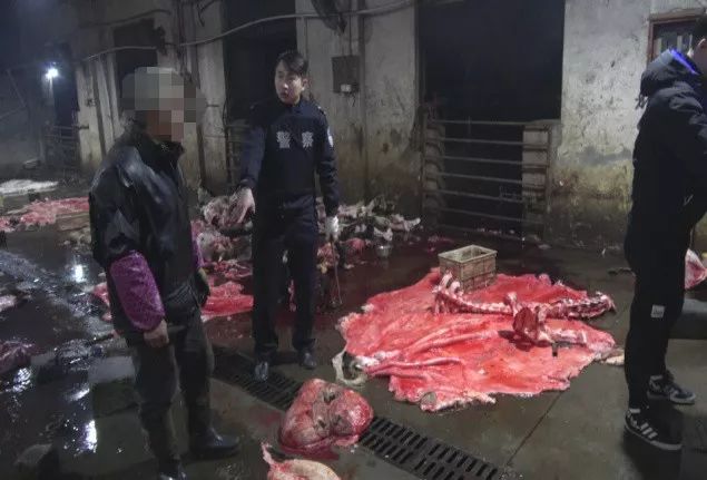 公安机关零容忍打击违法犯罪,严打食药环犯罪