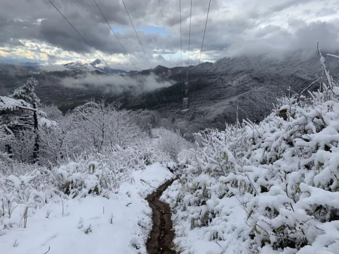 2019环富士山超级越野赛,环富士山越野赛2023冠军