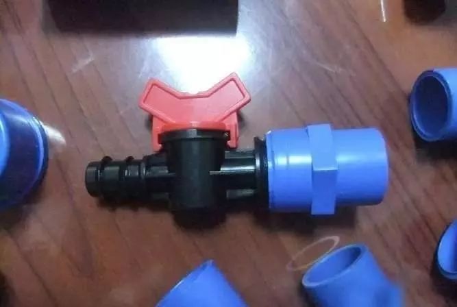 1.5米生态缸的用料及造景,1.2米的缸适合做什么缸