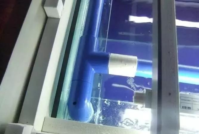 1.5米生态缸的用料及造景,1.2米的缸适合做什么缸