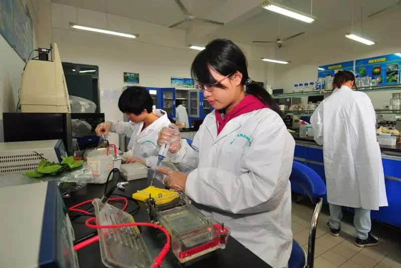 赣州市人才子女入学,赣州外地子女入学条件