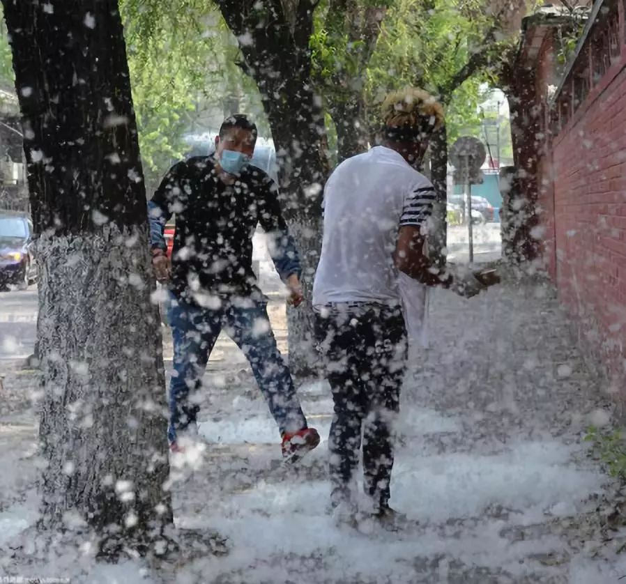 BNUer财务调查丨你离奶茶自由，还有多少钱的距离