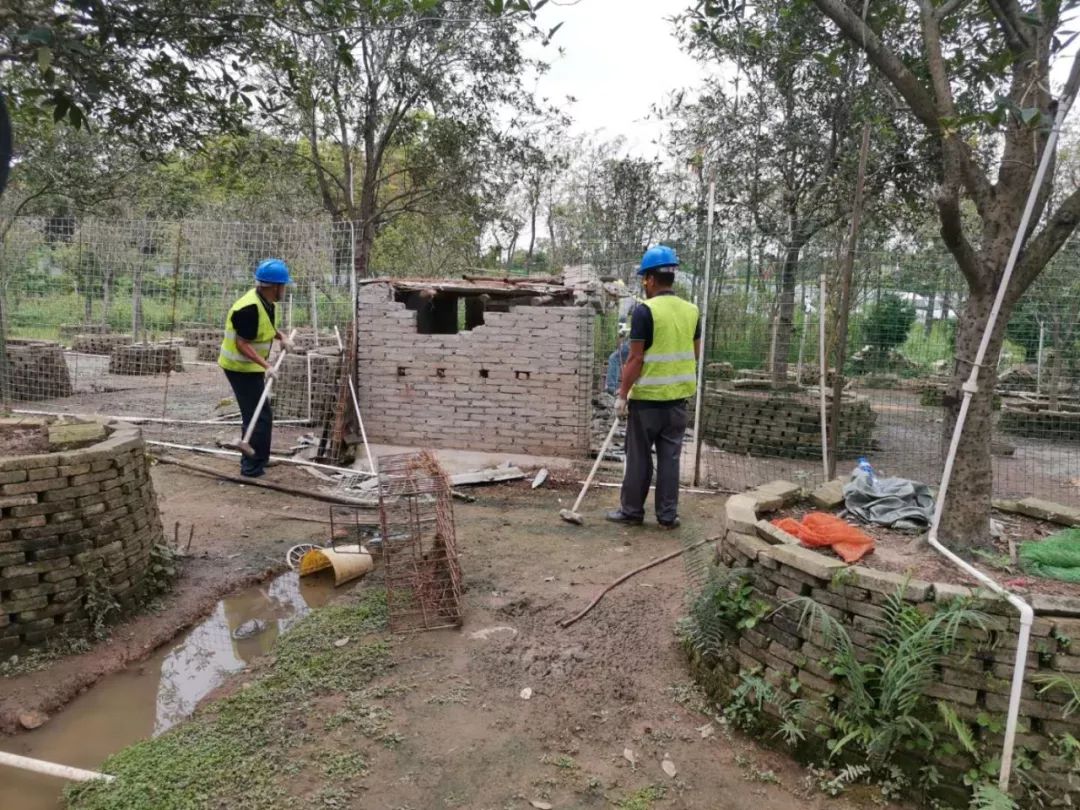 佛山南海桂城违建新闻,桂城对已经建好的违建如何处理