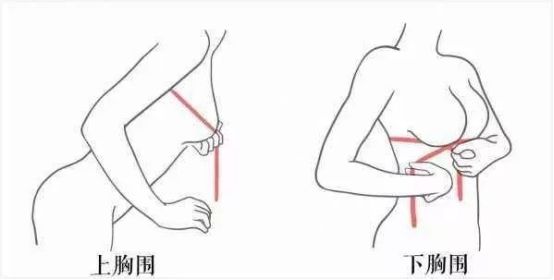 网红聚拢型内衣推荐,美背内衣网红爆款中国风