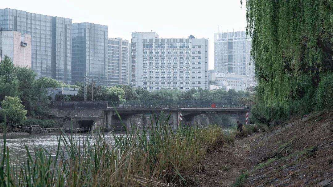 和我在杭城的运河边走一走