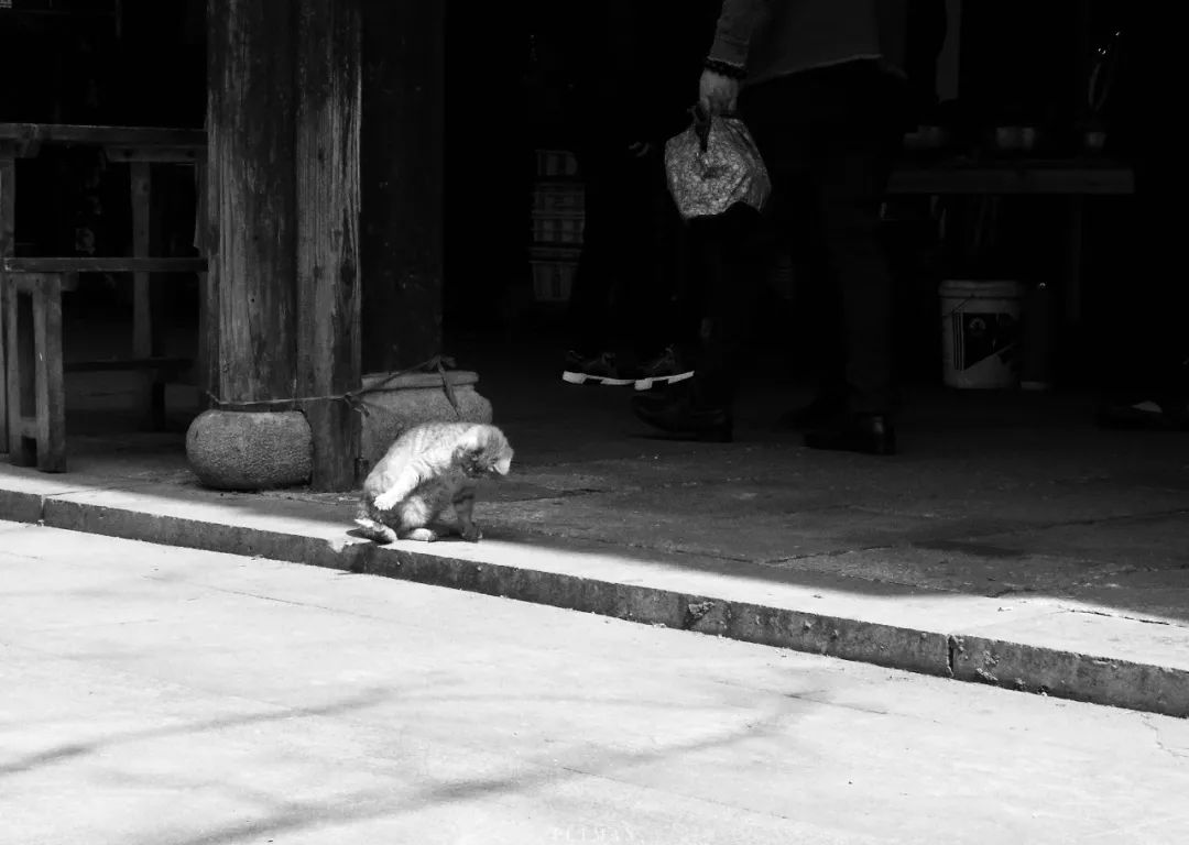 和我在杭城的运河边走一走