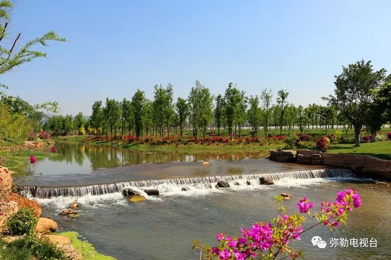 弥勒美食必吃推荐,云南弥勒美食野生菌