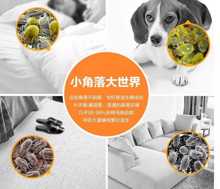 为什么能从鼻头上挤出白色的东西,鼻子挤出来的白丝是什么