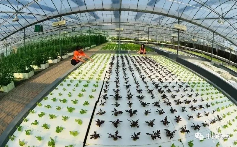 改革发展成就,改革以来的辉煌成就