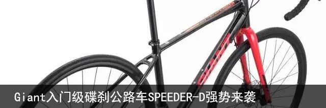 骑车摔伤牙齿松动怎么办,骑车磕到牙齿怎么办