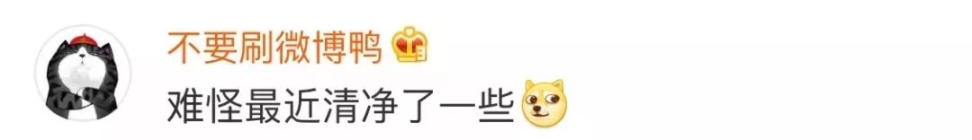 打卡背单词行为,朋友圈背单词打卡违法吗