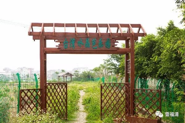 福建两岸融合发展新闻发布会,福建新闻联播水稻制种