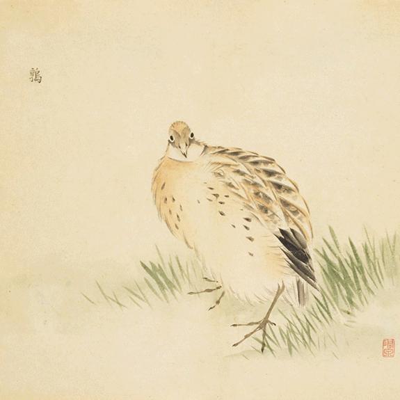 诗经中最唯美的文字,诗经的美才是真的美