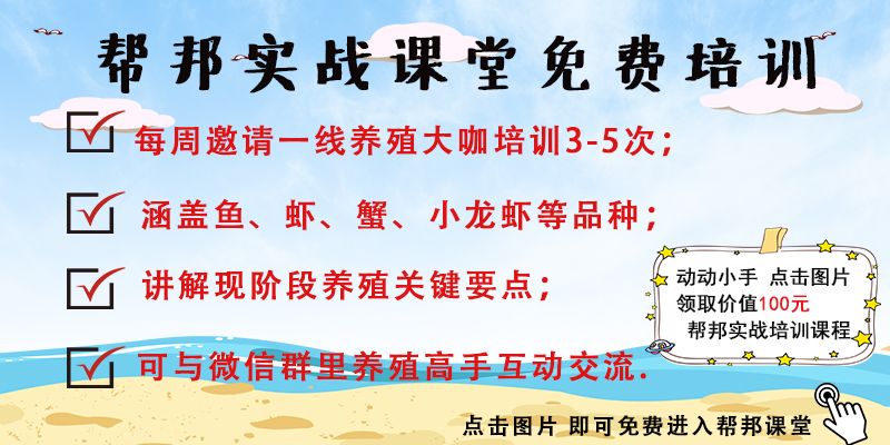 弧菌-水产养殖的杀手，而它是弧菌的最佳克星！