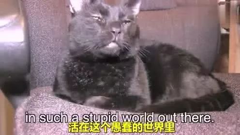 鍠濅笉鍒版按鐨勫惛绠＄瀛﹀皬瀹為獙,鏅哄姏浣庝笅鍎跨鎬庝箞缁冧範鍚哥鍠濇按