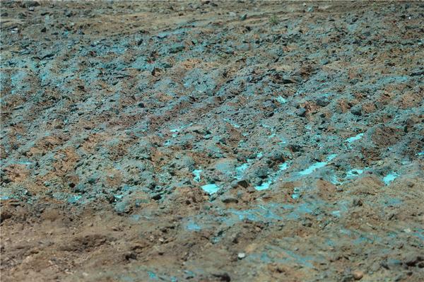 青科大团队研发出抑尘“神器”：裸土披“绿膜”告别扬尘