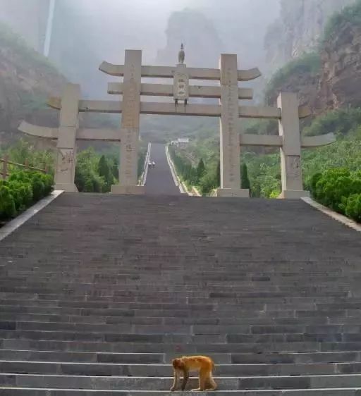 本周末，主播秋雨、大雄带你畅游王屋山、五龙口，只剩10个自驾名额，欲报从速！