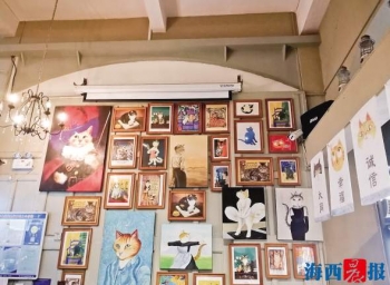 厦门最有趣的室内景点,厦门有意思博物馆