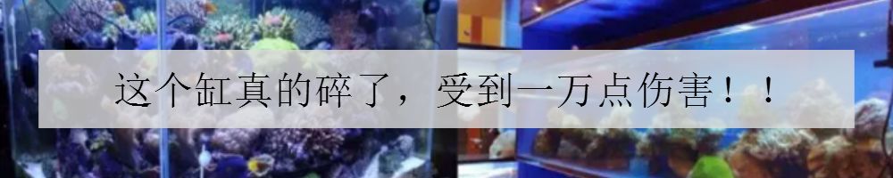 海缸害怕阳光照射吗,海缸如何压制褐藻