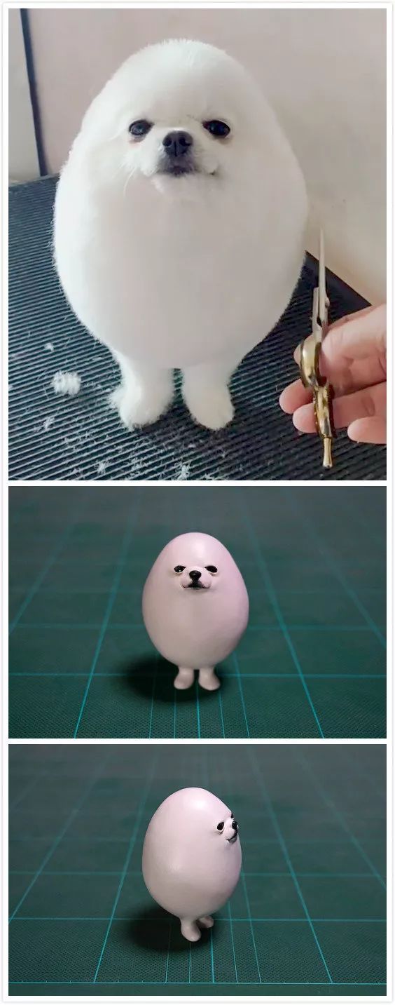 日本“手工鬼才”捏的小动物模型，比表情包还沙雕