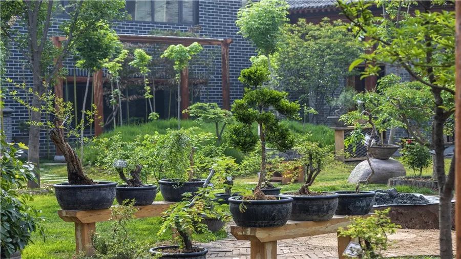 院中园,园中园农家饭庄