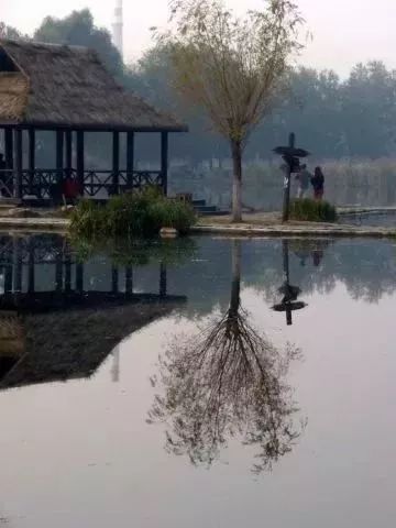 玩转大连森林公园,逛遍大连森林公园