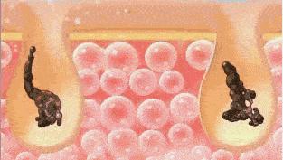 整容明星脸翻车现场,明星整容翻车名场面