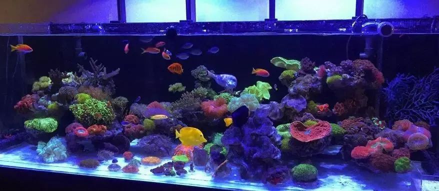 哥稳住啊，千万别在执迷不悟了！！