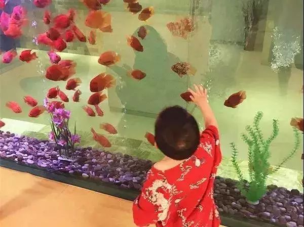 29.9元起!有效3个月,覆盖整个冬天!上海哈一顿桑拿,限量特惠,手慢无