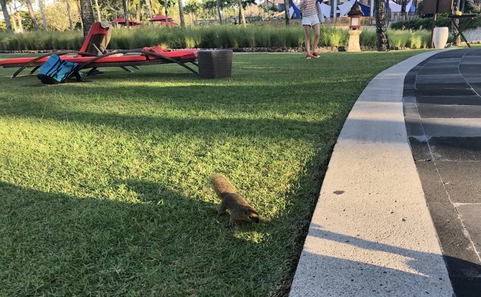 巴厘岛clubmed怎么样,巴厘岛clubmed沙滩怎么样